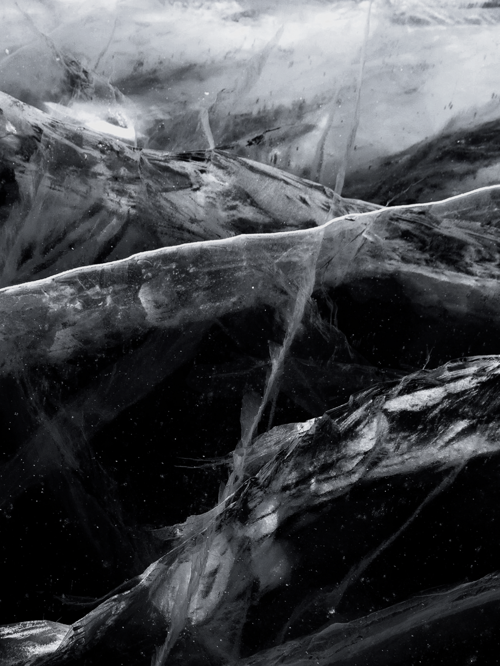 Black Frost - Fresh Home Fresh Mood