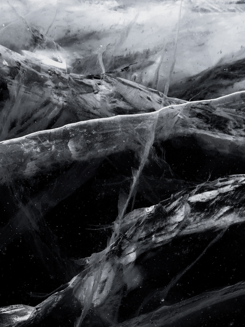 Black Frost - Fresh Home Fresh Mood