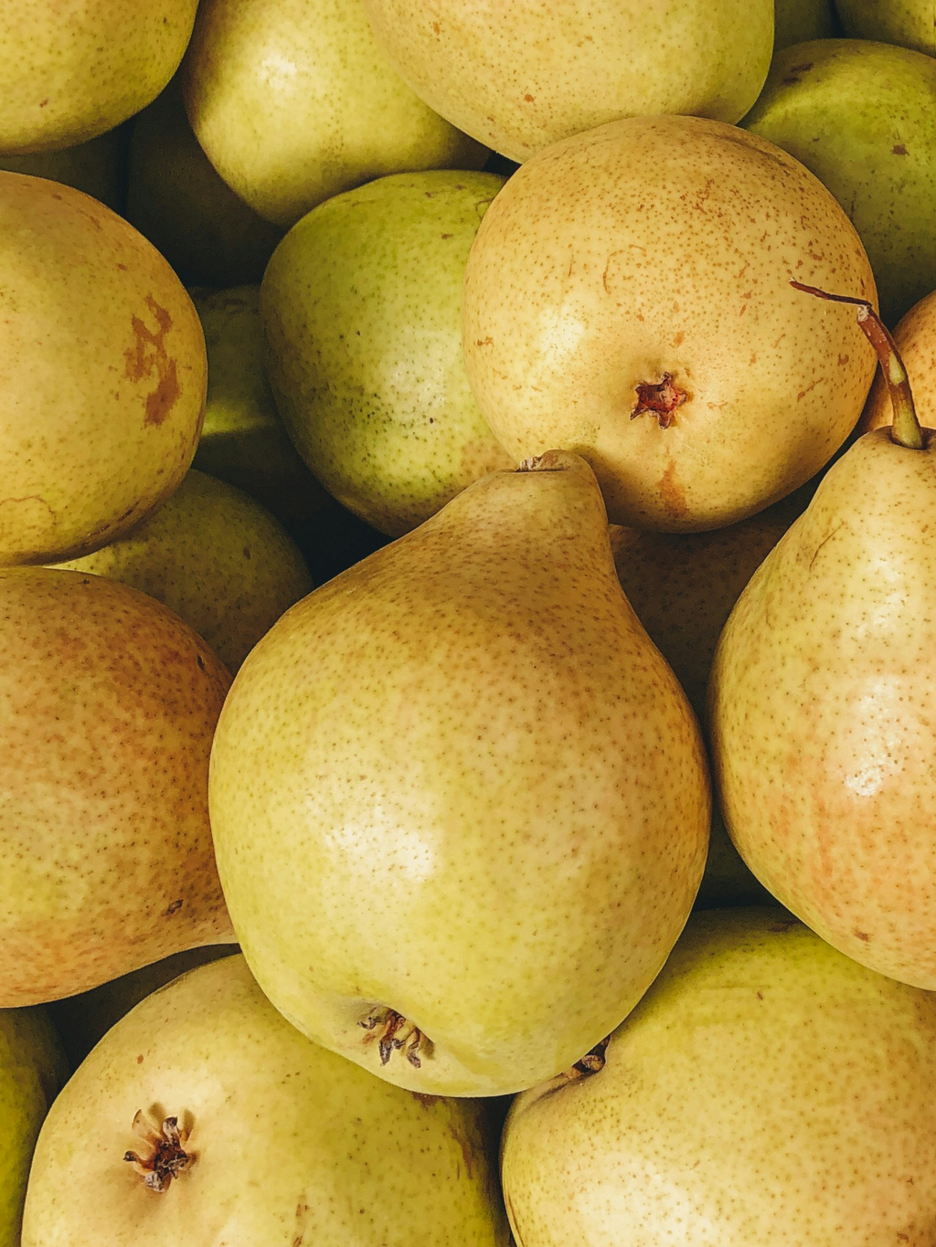 Cashmere Pear - Bring Fresh Scent to Life