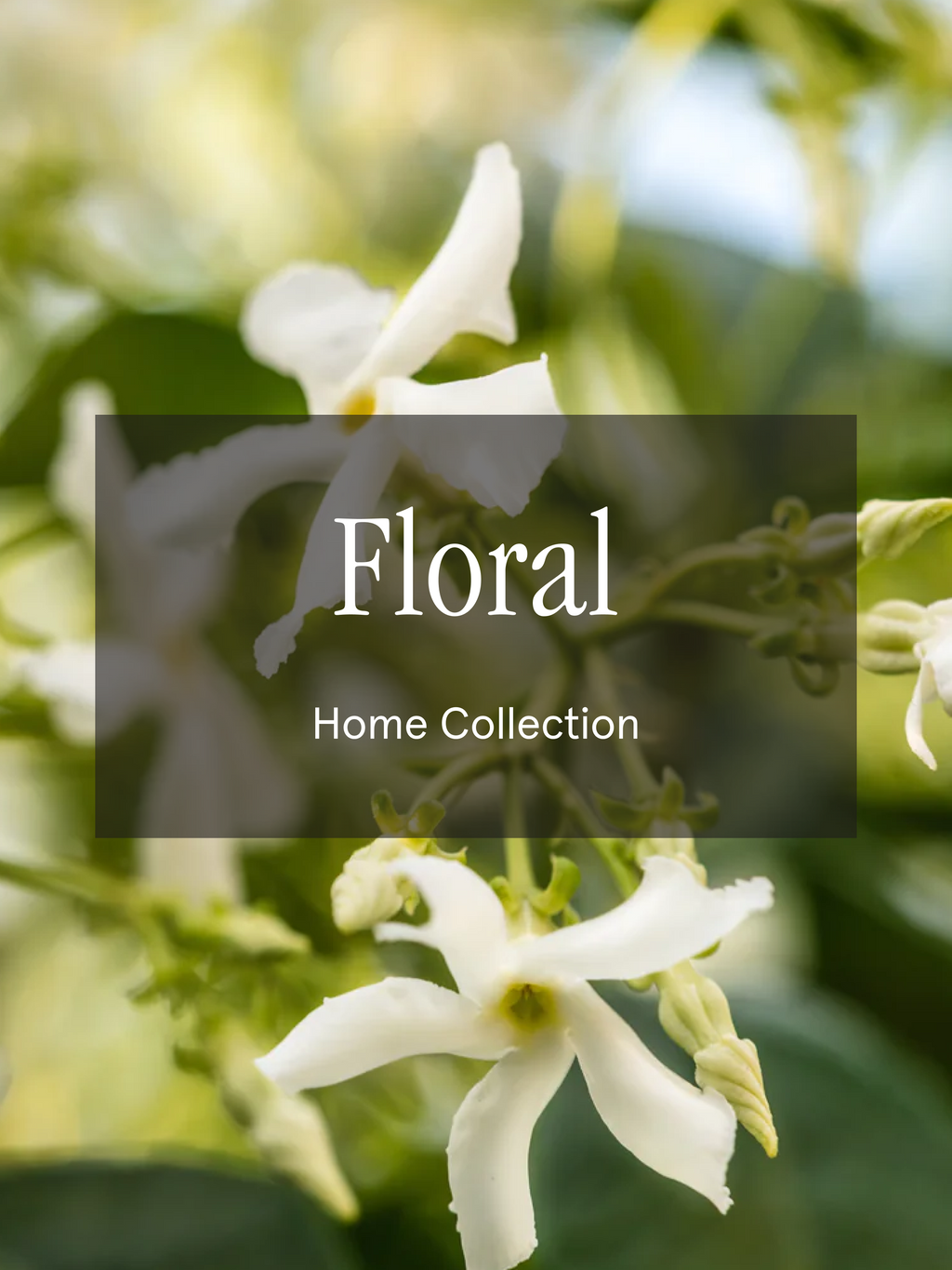 Floral - Make Room for Freshness