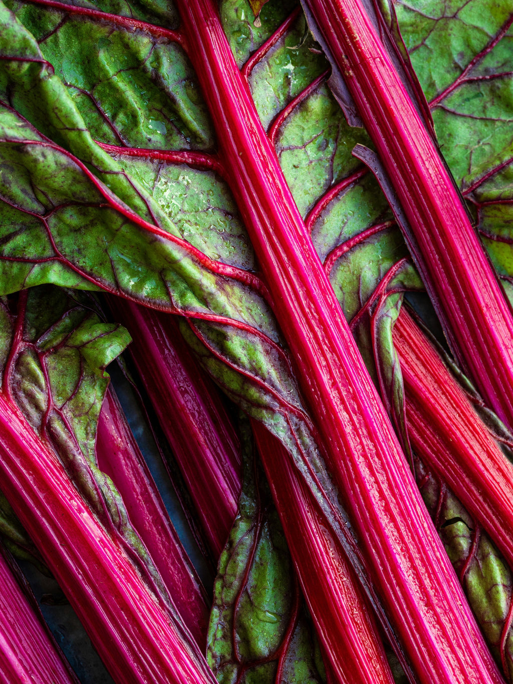 Rhubarb Honey - Make Every Space Smell Better