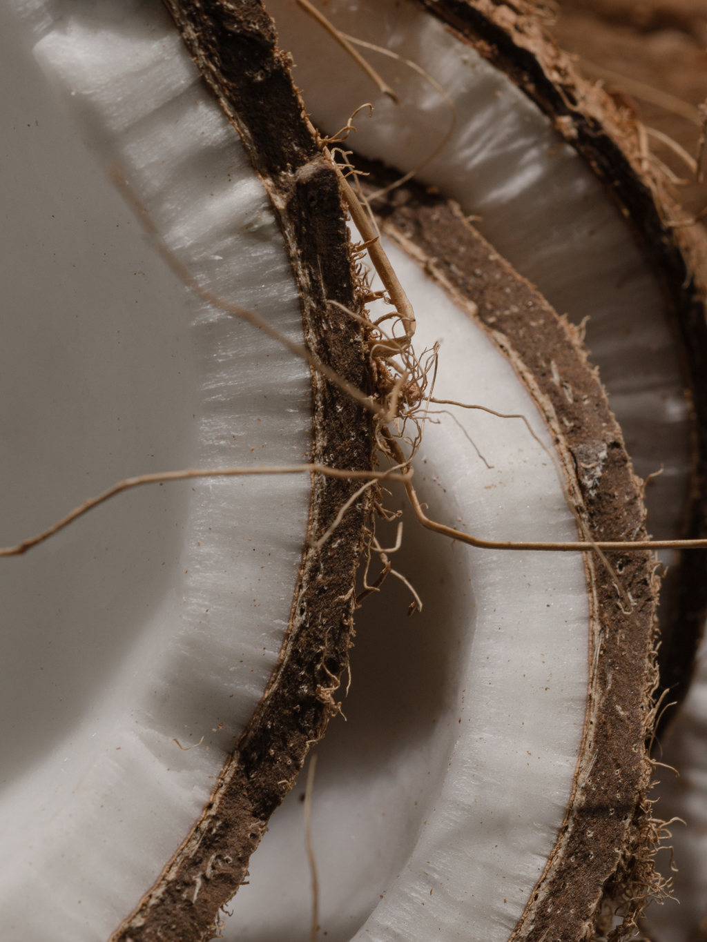 Del Mar - Choose a Better Home Scent