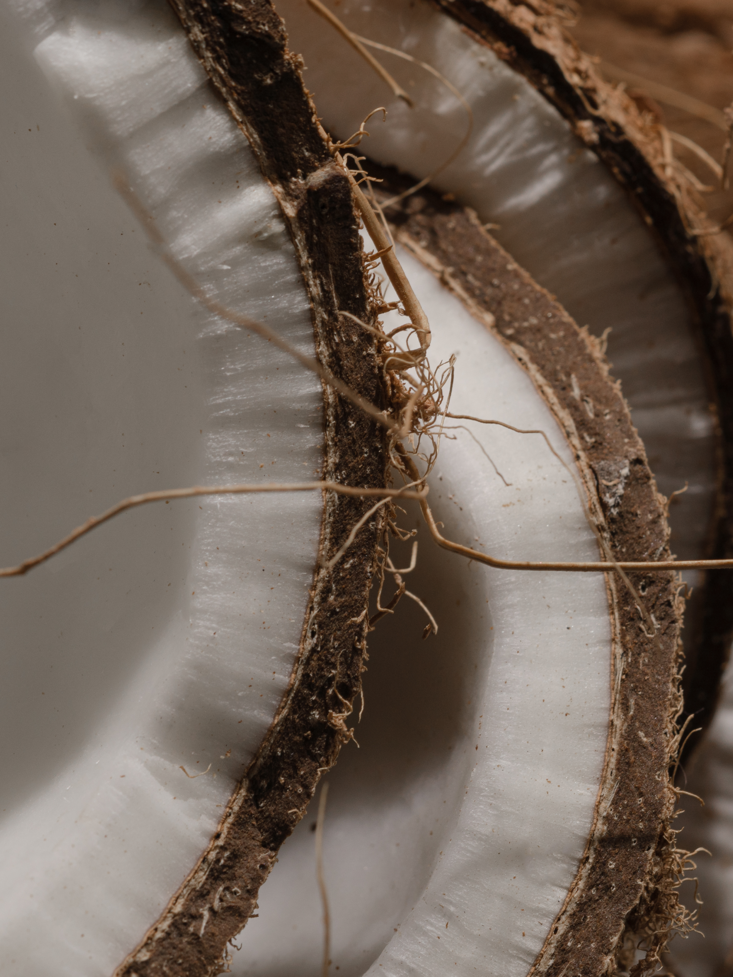 Del Mar - Choose a Better Home Scent