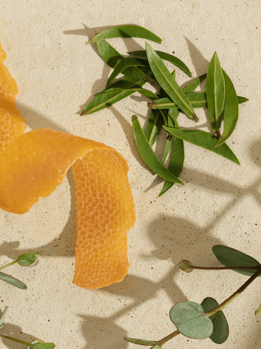White Tea Blossom - Car Scents Made Smarter