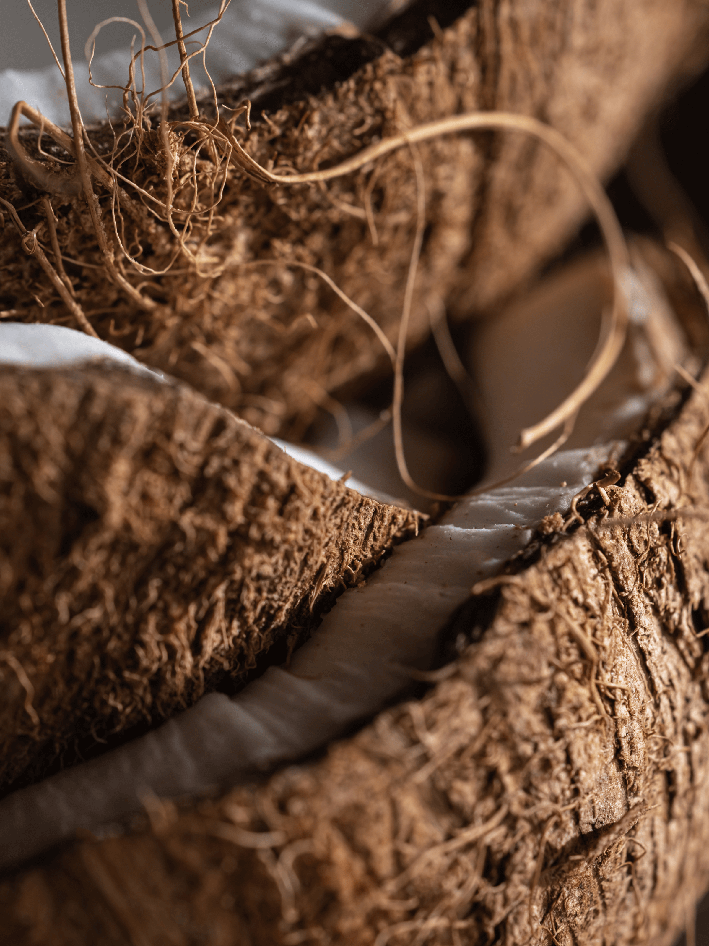 Coconut Oasis - Room Fragrance Made Easy