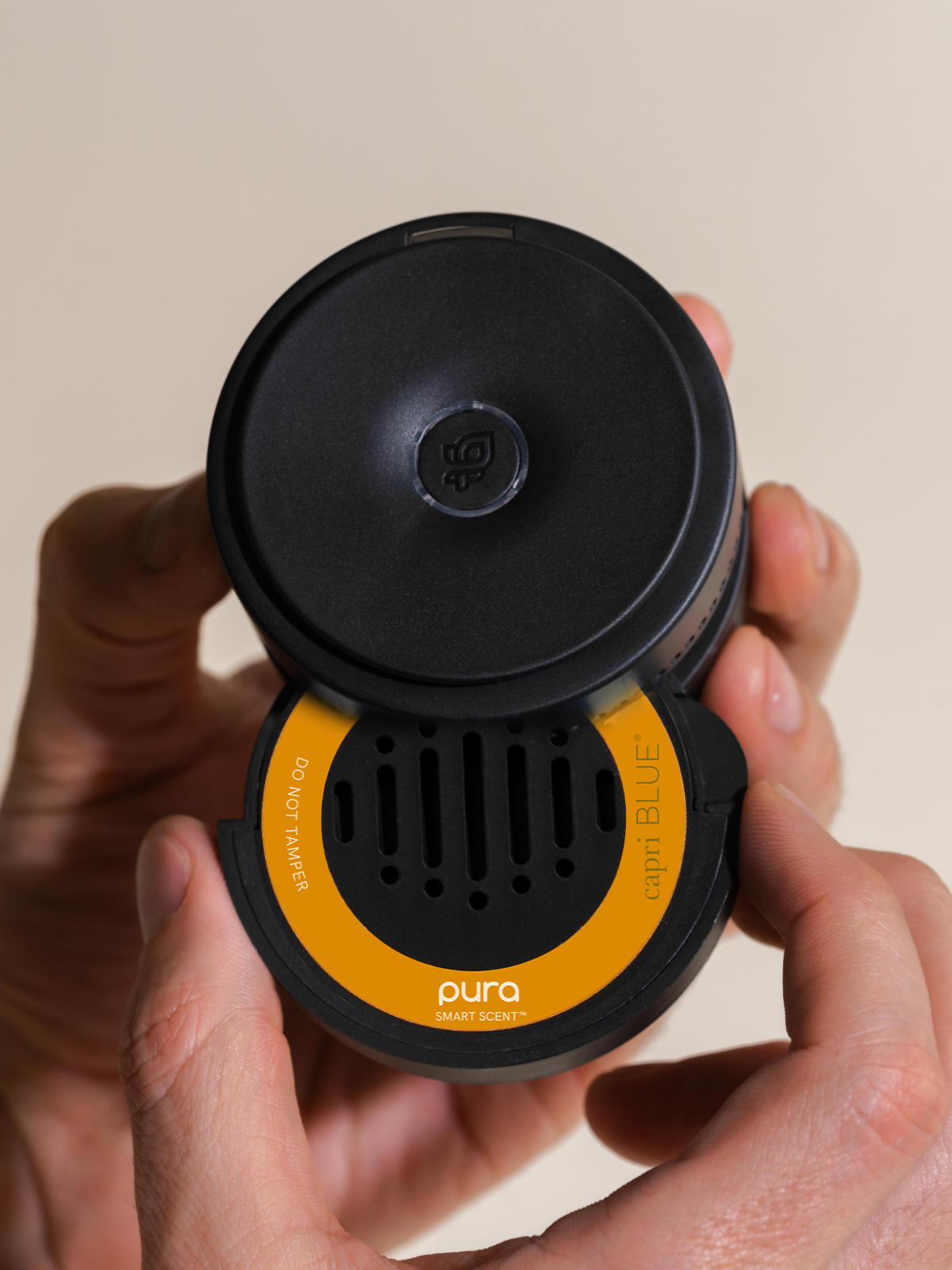 Pumpkin Dulce - Home Fragrance at Your Fingertips