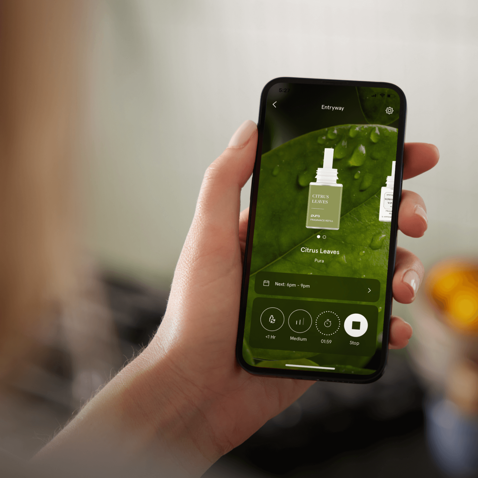 Pura 4 - Fresh Scents for Fresh Starts