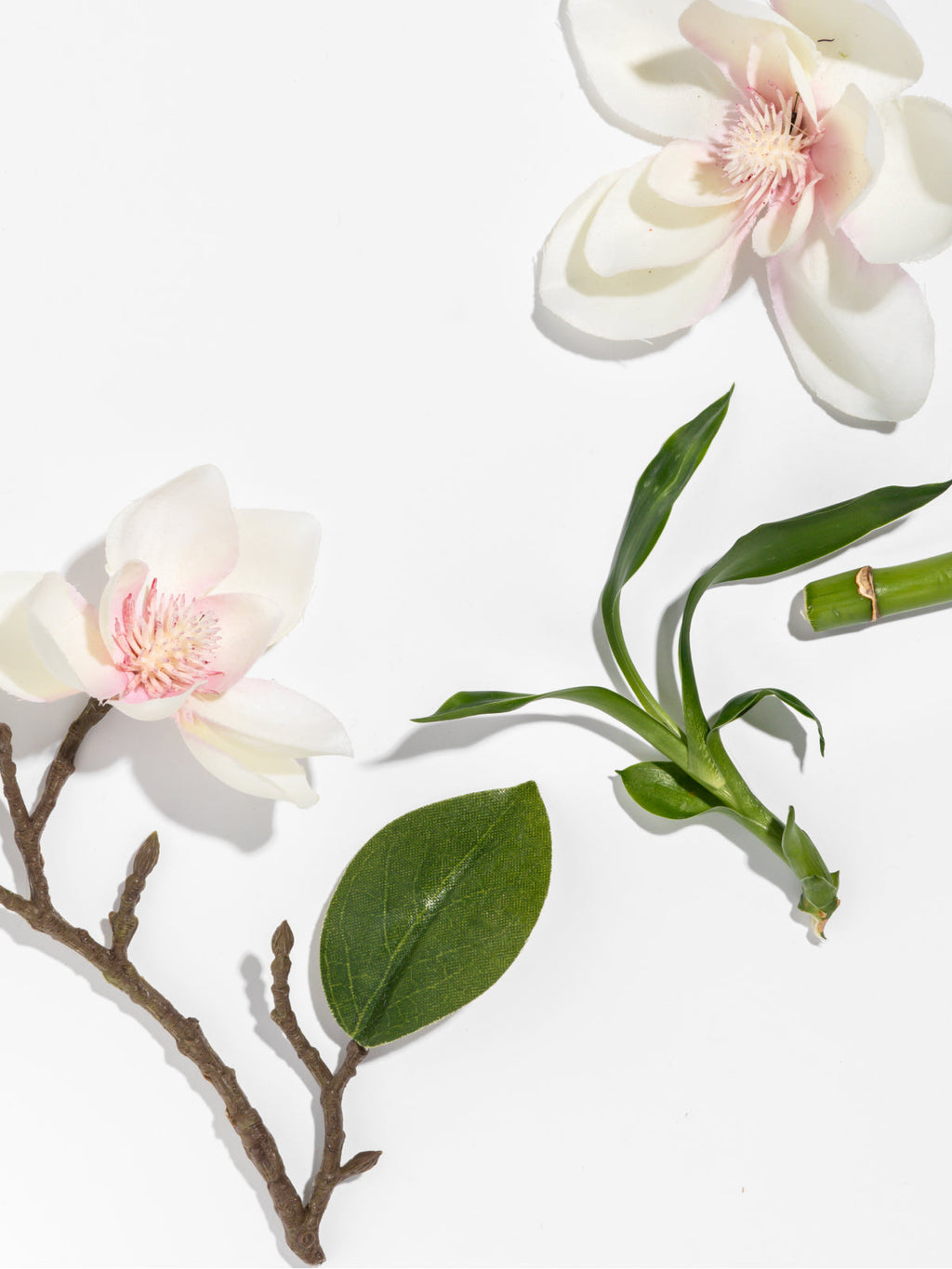 Star Magnolia - Refresh Your Home Mood