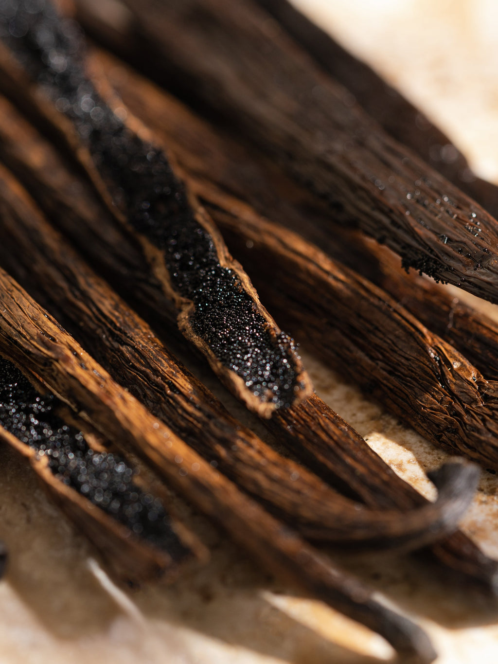 Havana Vanilla - Home Scent With Style