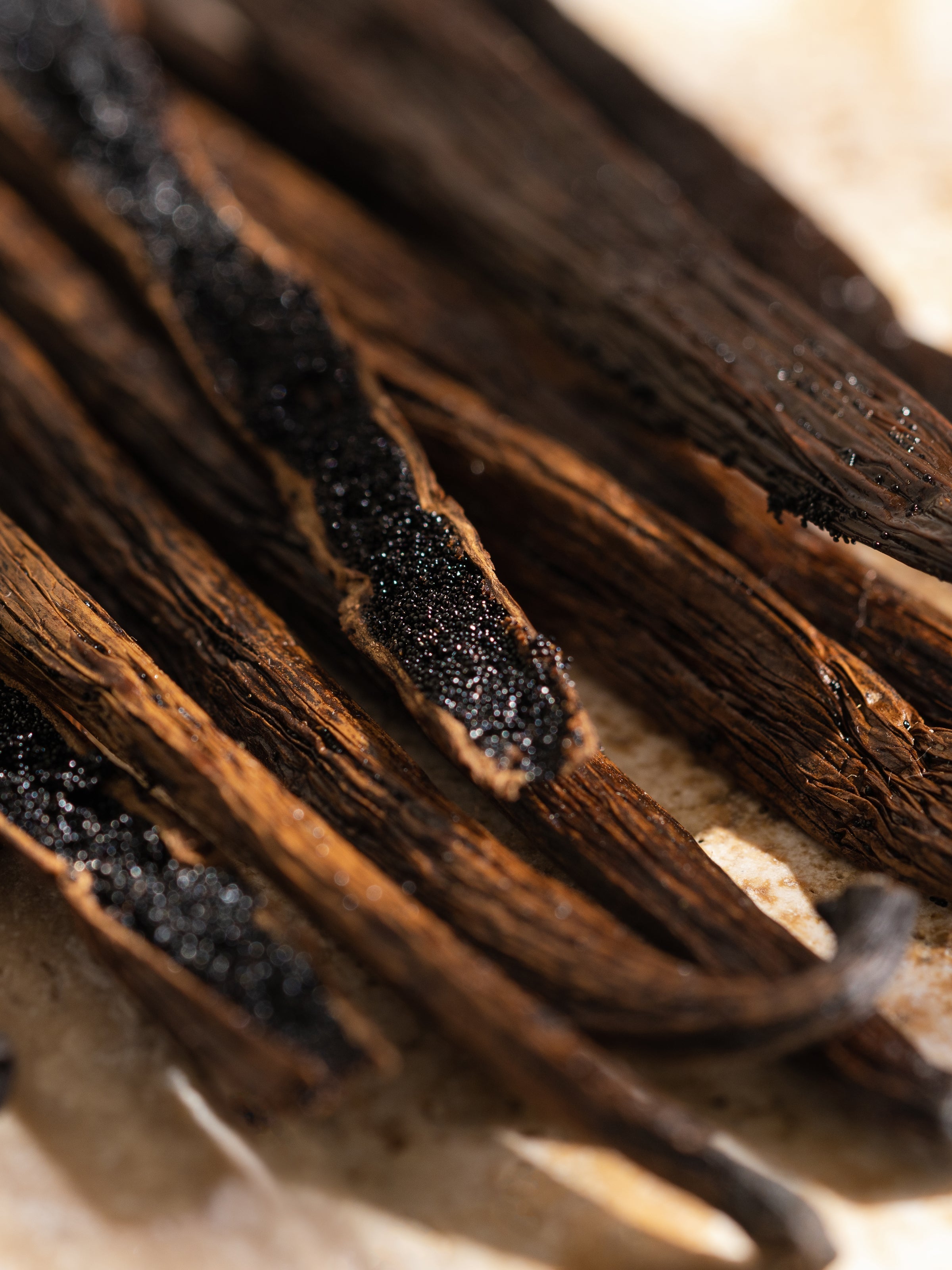Havana Vanilla - Home Scent With Style