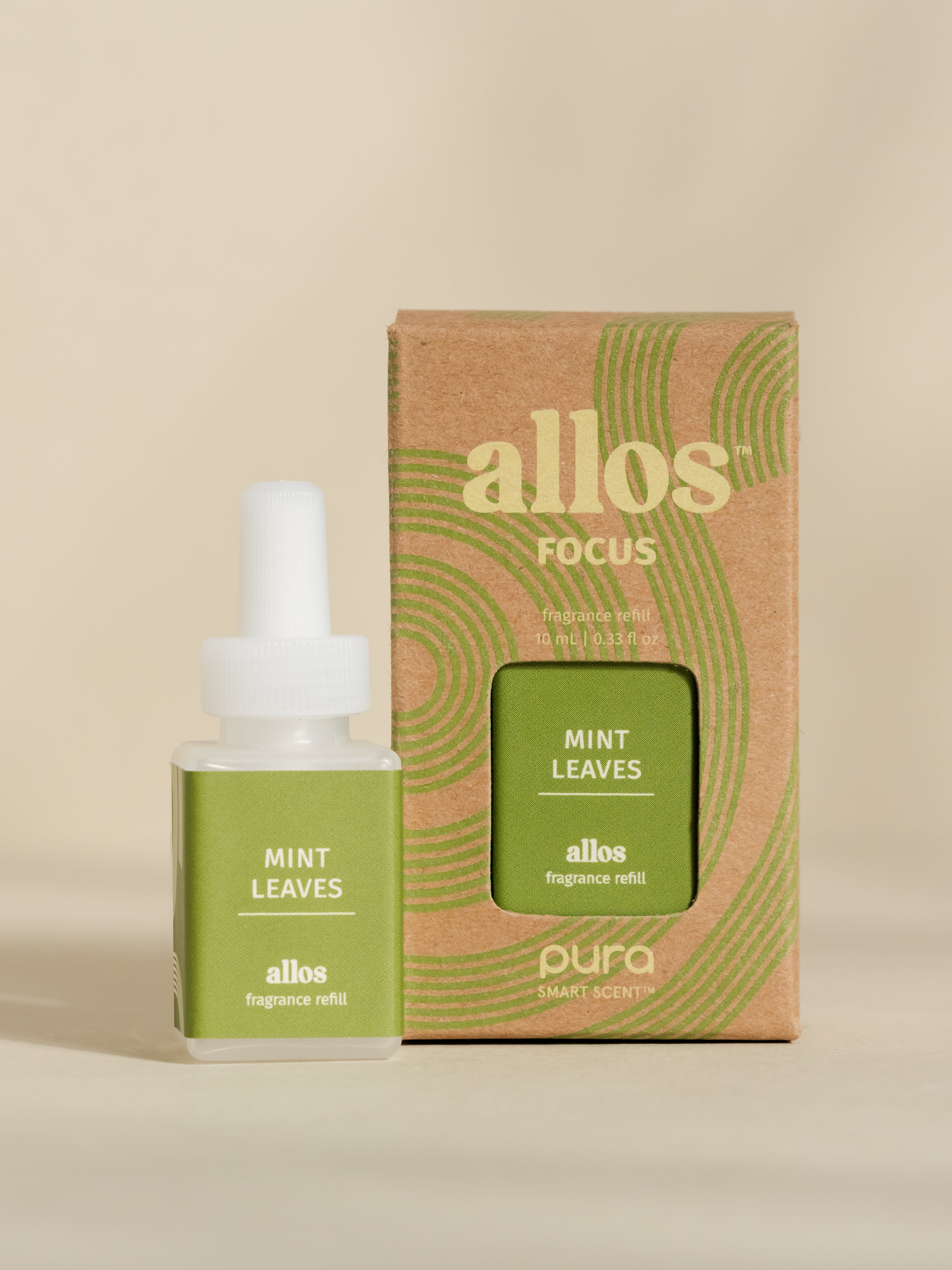 Mint Leaves - Make Home Smell Inviting