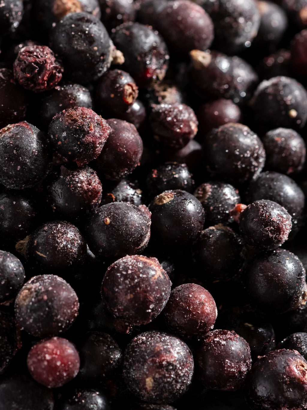 Sparkling Currant - The Easy Way to Freshen Up