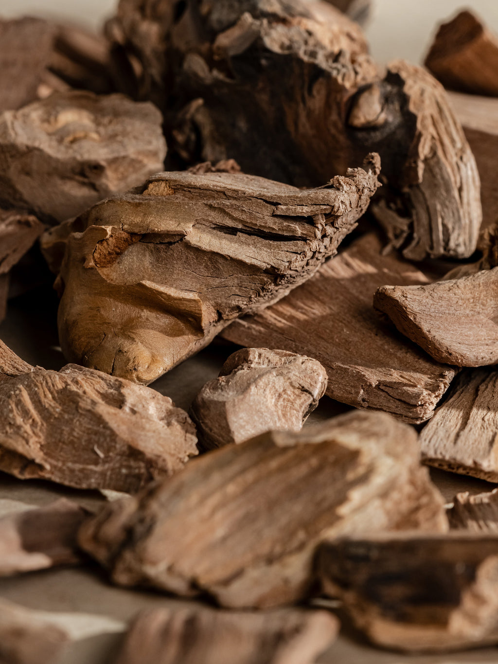 Chestnut Embers - Your Space Your Signature Scent