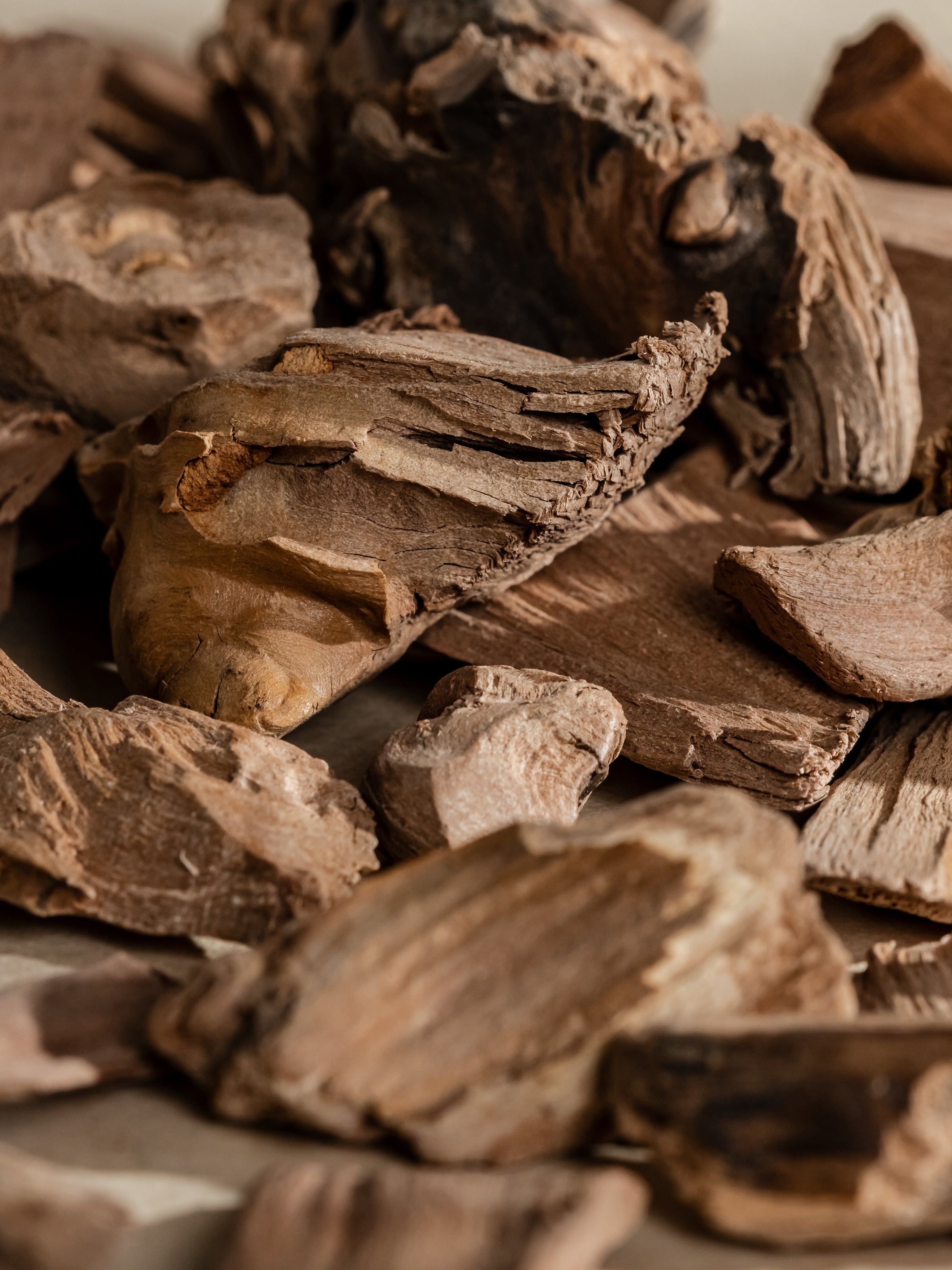 Chestnut Embers - Your Space Your Signature Scent