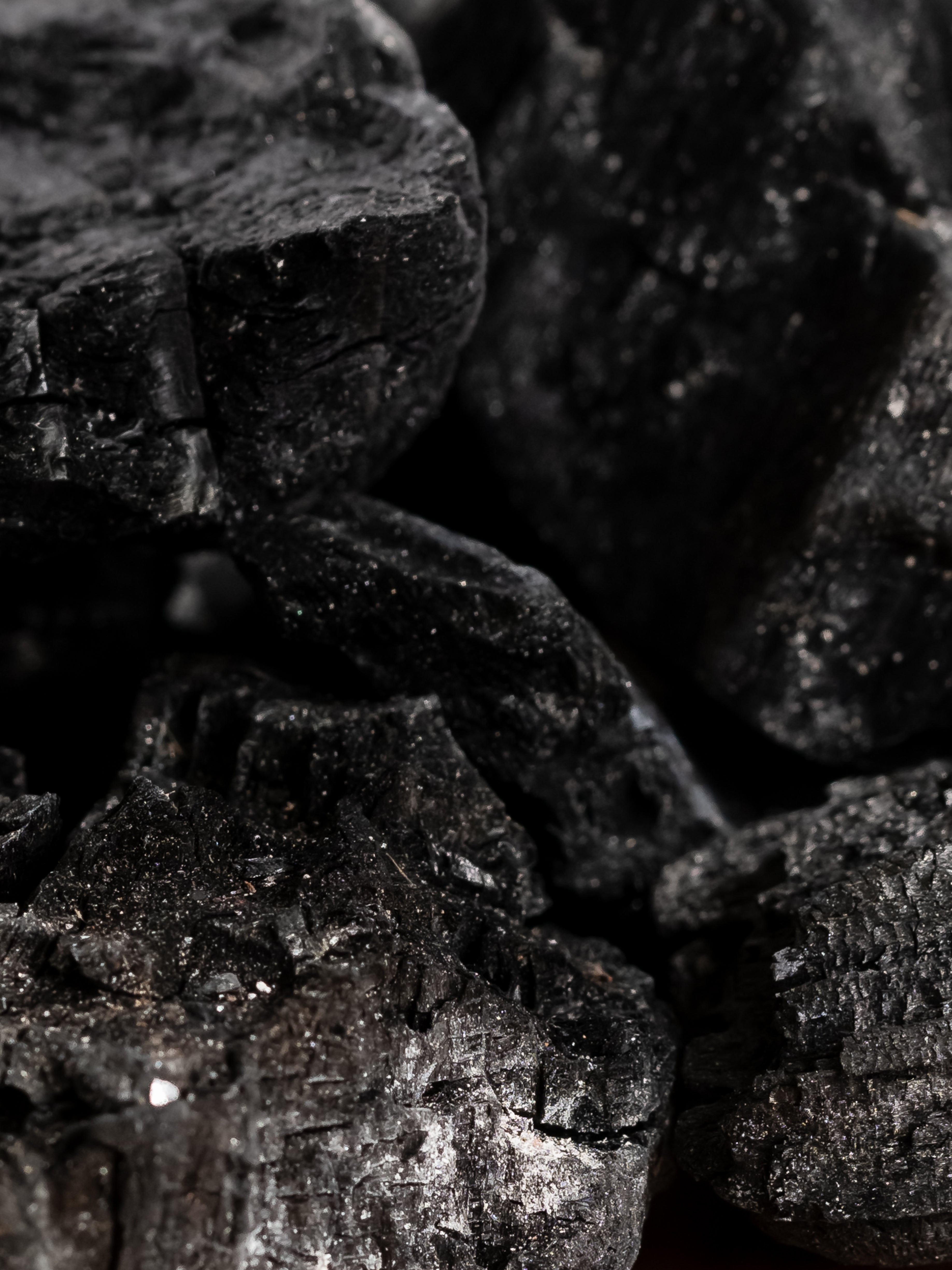 Charcoal - Make Your Home Smell Amazing