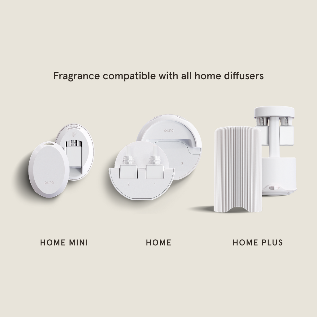 Santa's Workshop - Make Home Feel Fresh Again