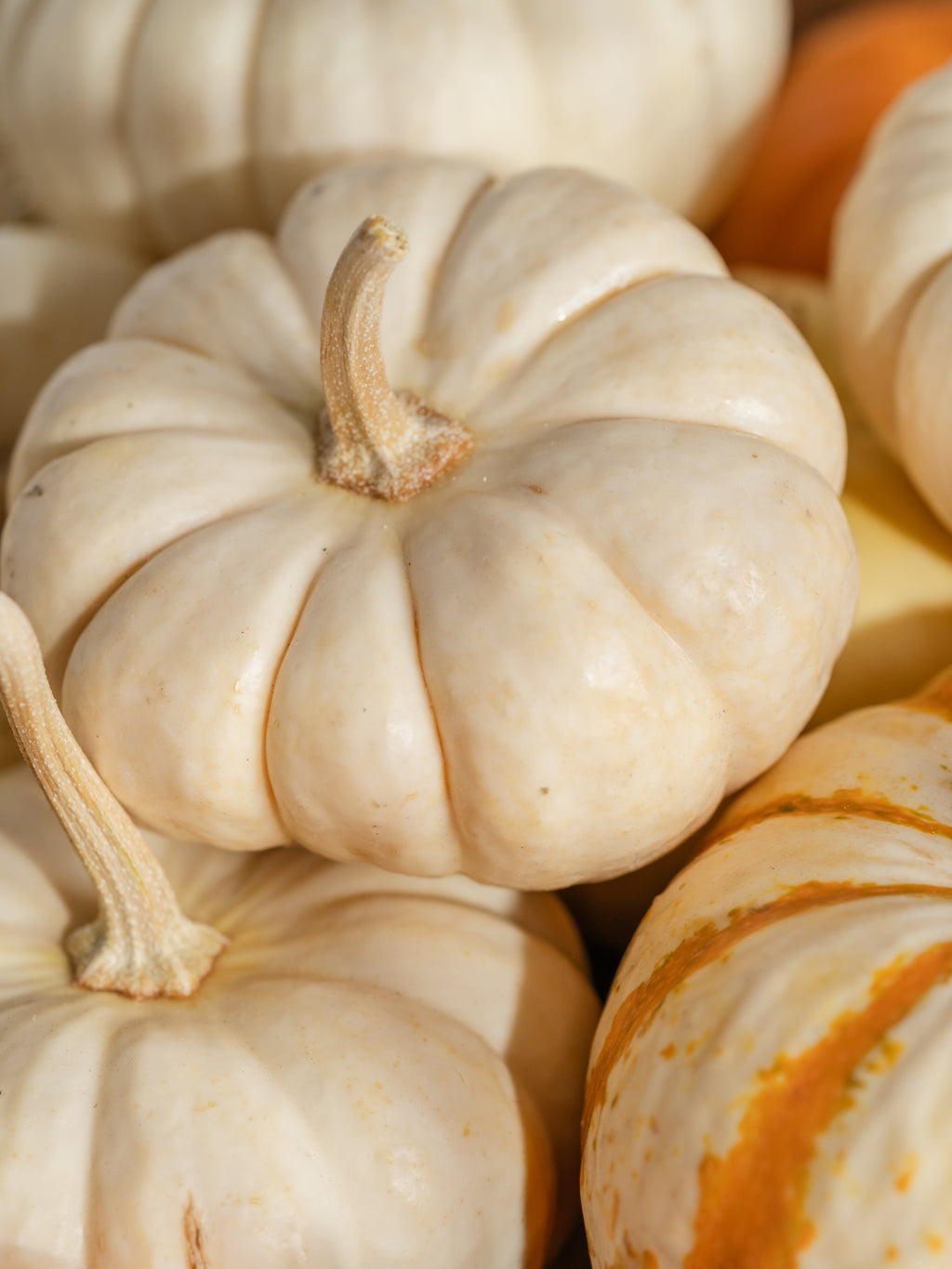 Pumpkin Macchiato - Scent Your Entryway