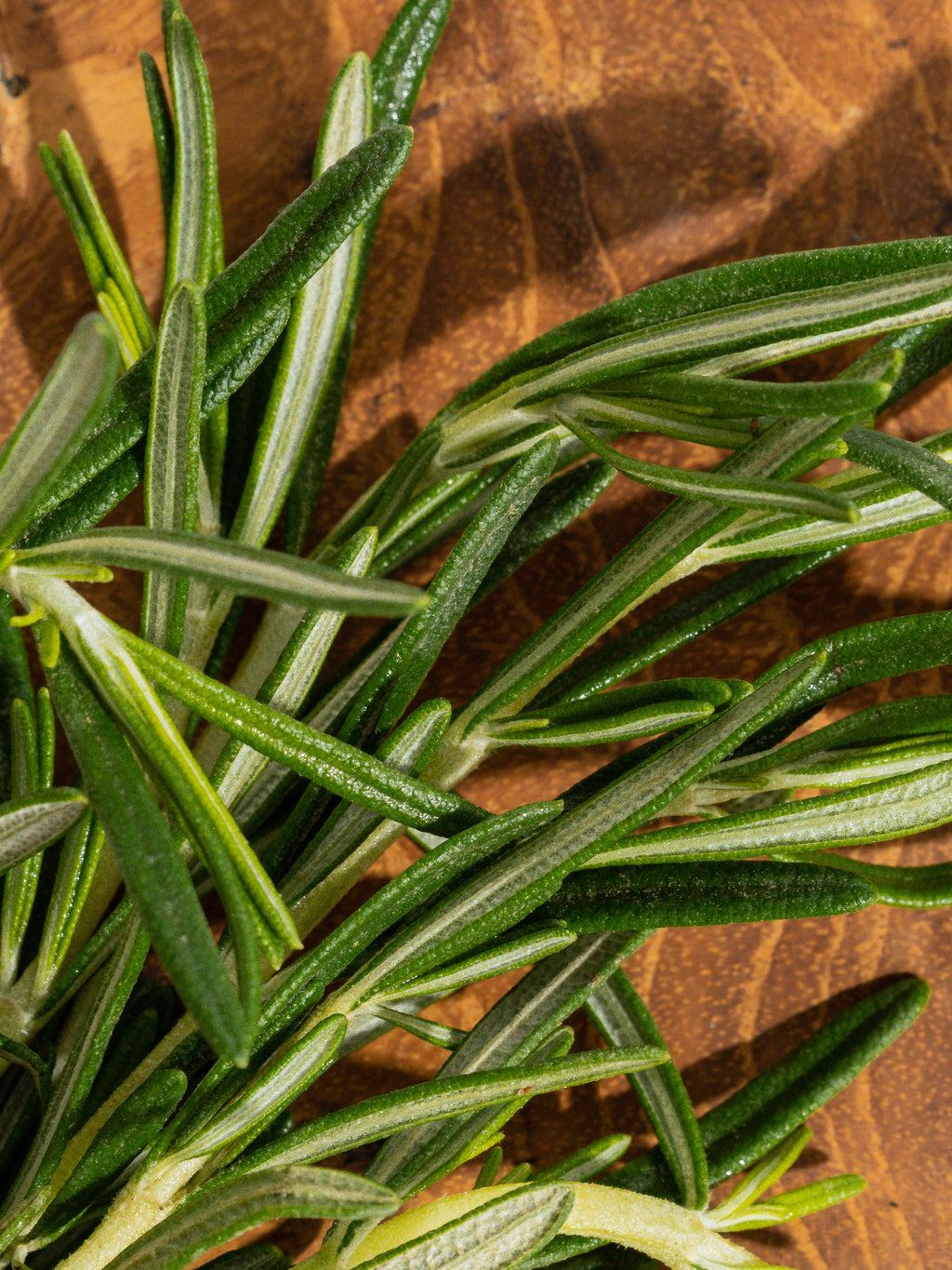 Rosemary Eucalyptus - Scent Your Space Your Way
