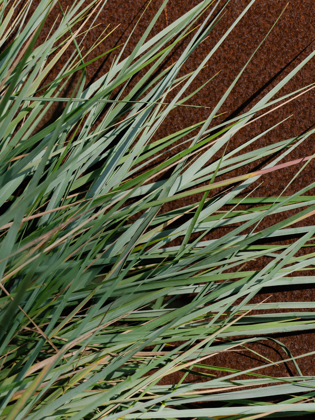White Vetiver - Give Each Room Its Own Scent