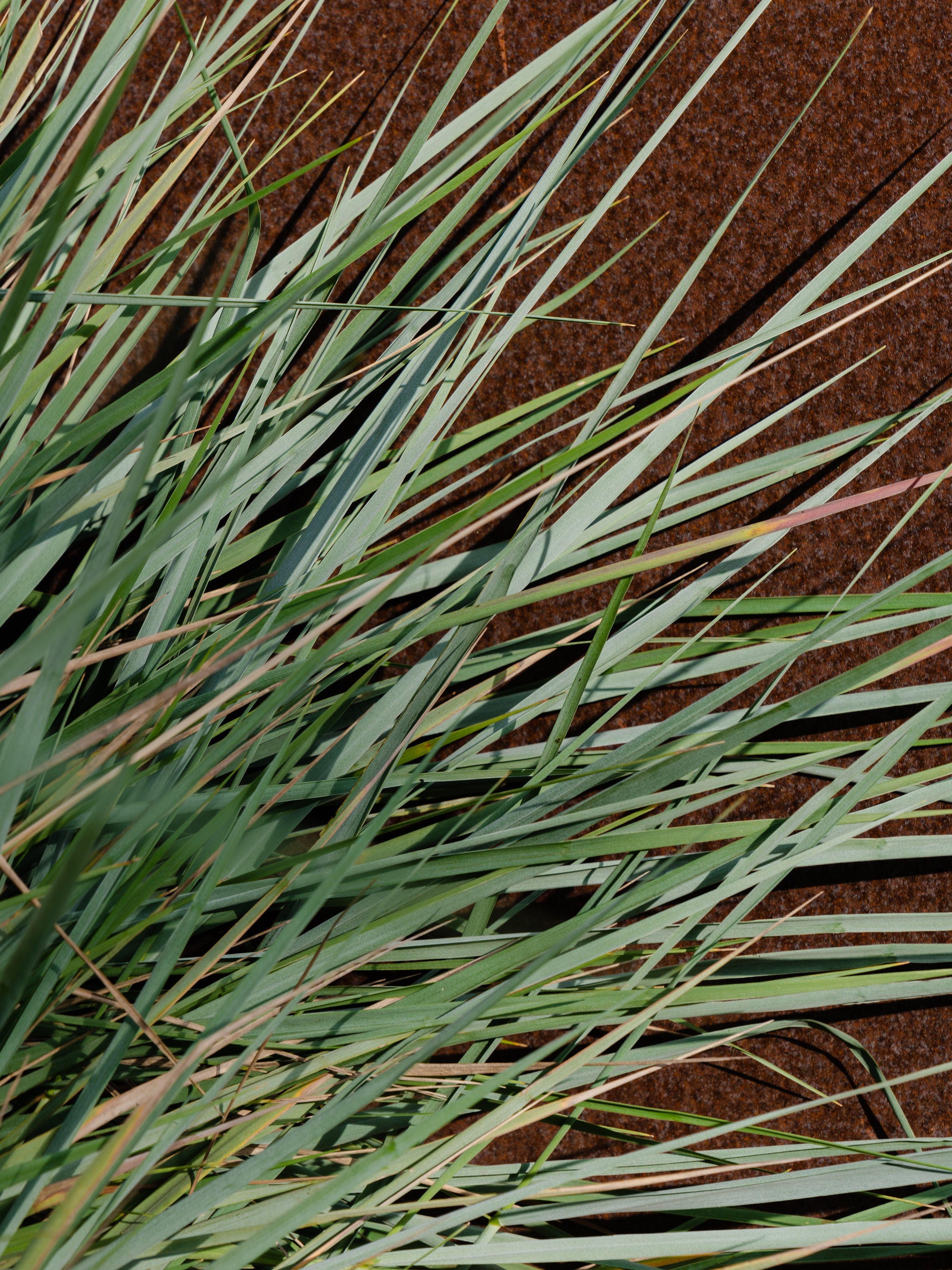 White Vetiver - Give Each Room Its Own Scent